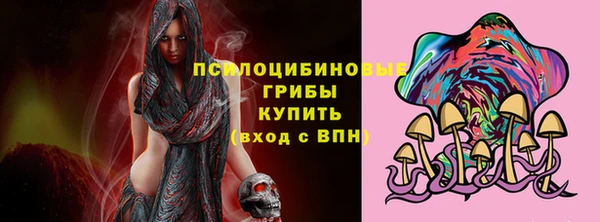 сатива Вязьма