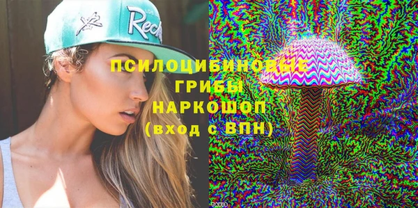 сатива Вязьма