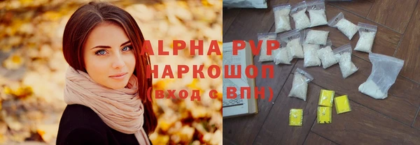сатива Вязьма