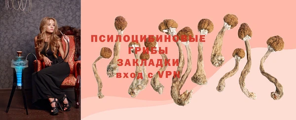 ALPHA PVP Вязники