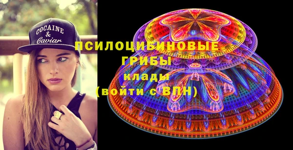 сатива Вязьма