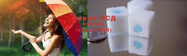 сатива Вязьма