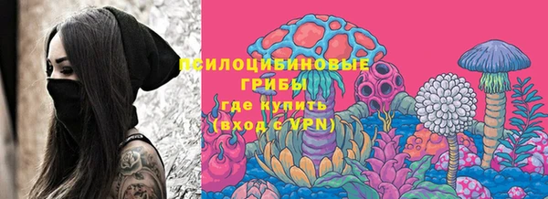 сатива Вязьма