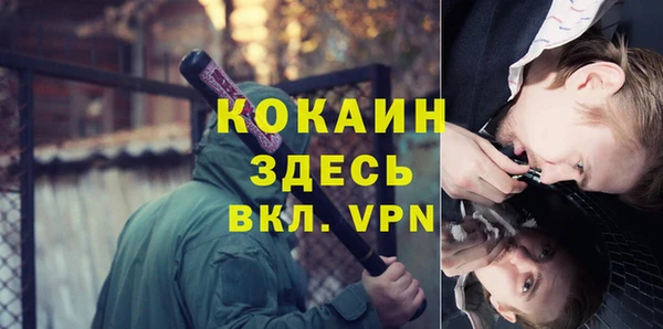 сатива Вязьма